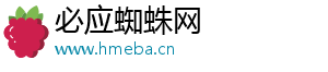 必应蜘蛛网